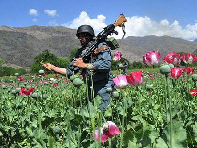 The fighting in Helmand province had actually dipped in recent weeks but the lull is temporary, warns spokesperson. PHOTO: AFP