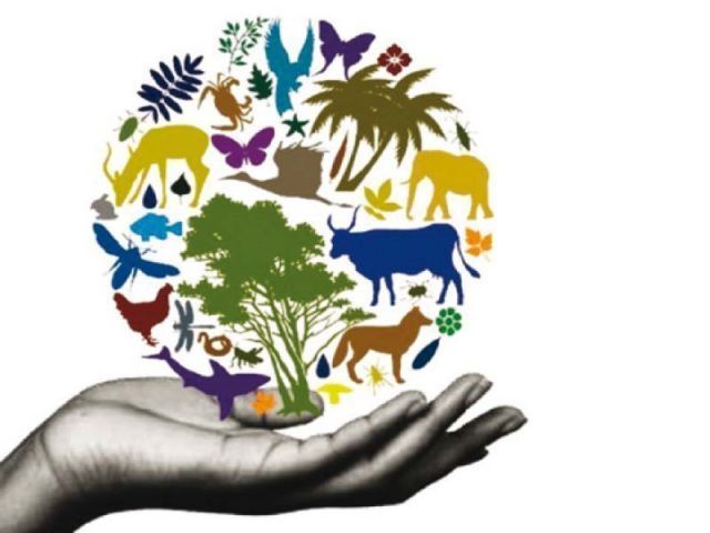 Climate Change Biodiversity Loss Alarming Official