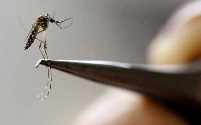 District Officer Health says all out resources are being utilised for dealing with dengue spread. PHOTO: REUTERS