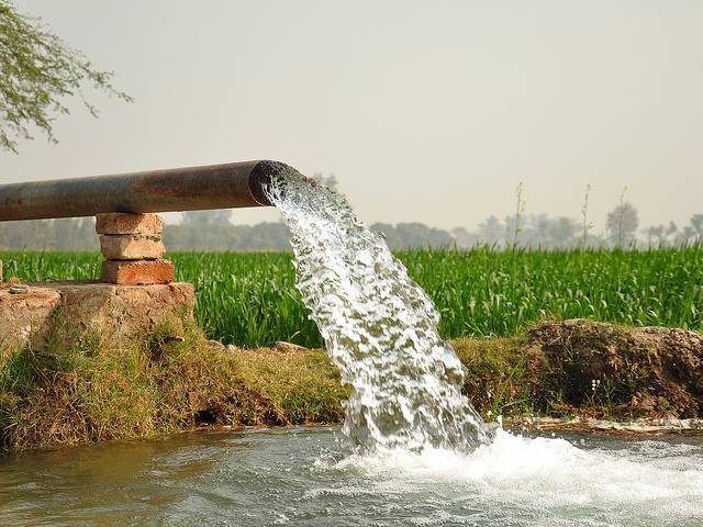 PHOTO: ONLINE