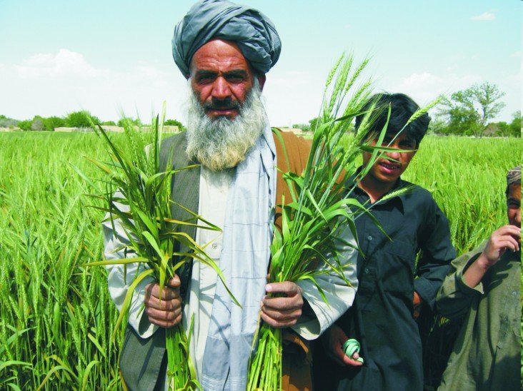 PHOTO COURTESY: https://www.usaid.gov/pakistan/economic-growth-agriculture