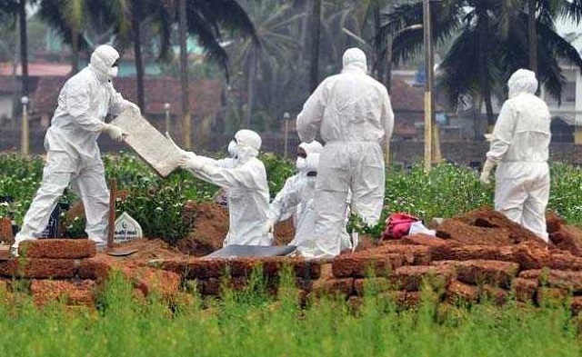 Nipah, which is mainly spread by bats, is confirmed to have killed 13 people. PHOTO: REUTERS