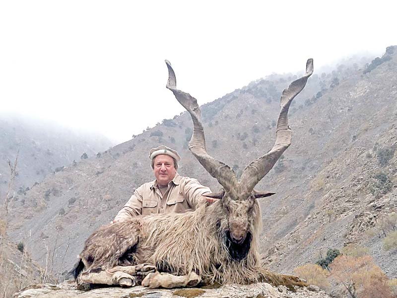 A citizen of Texas Fred Rich with the markhor he had hunted in Chitral after paying around $100,000 in 2016. PHOTO: FILE