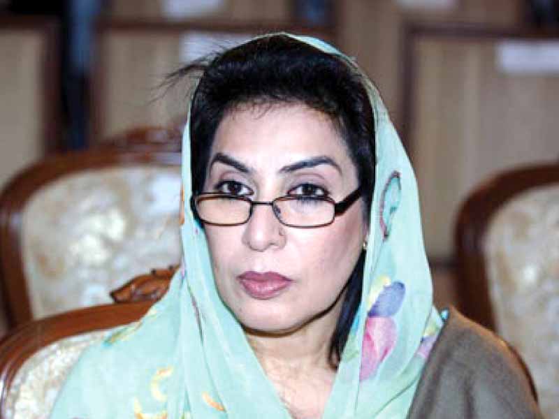 GDA's Fehmida Mirza said individuals have become stronger and institutions weaker following these elections. PHOTO: FILE