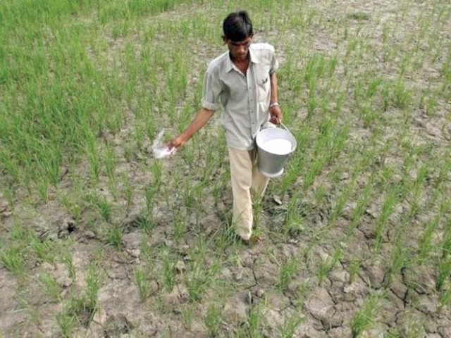 ECC, in its recent meeting, decided to open closed fertiliser units immediately by providing subsidised gas.
PHOTO:FILE