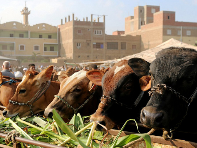 PHOTO: REUTERS