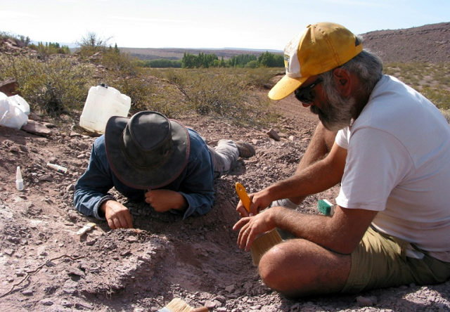 The region where the new species of sauropod was found is unusual as it would have been a desert during that era, 110 million years ago. PHOTO: AFP