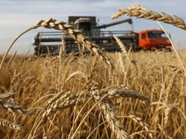 Countries have indicated initiating dispute settlement proceedings over payment of subsidy.
PHOTO: REUTERS