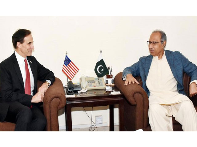 US diplomat Paul W Jones calls on PM's Adviser on Finance Hafeez Shaikh.