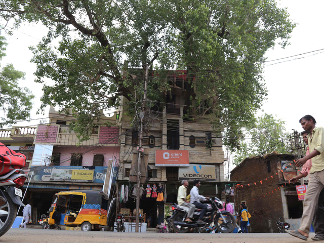 Indian residents walk along a road past the house of the Kesharwani family, which was built around a peepal tree (sacred fig tree), in Jabalpur, in the Indian state of Madhya Pradesh. - When the Kesharwanis wanted to build a bigger house they didn't want to cut down the holy fig tree in the courtyard, so they came up with a novel solution: construct the house around the tree. Photo: Reuters