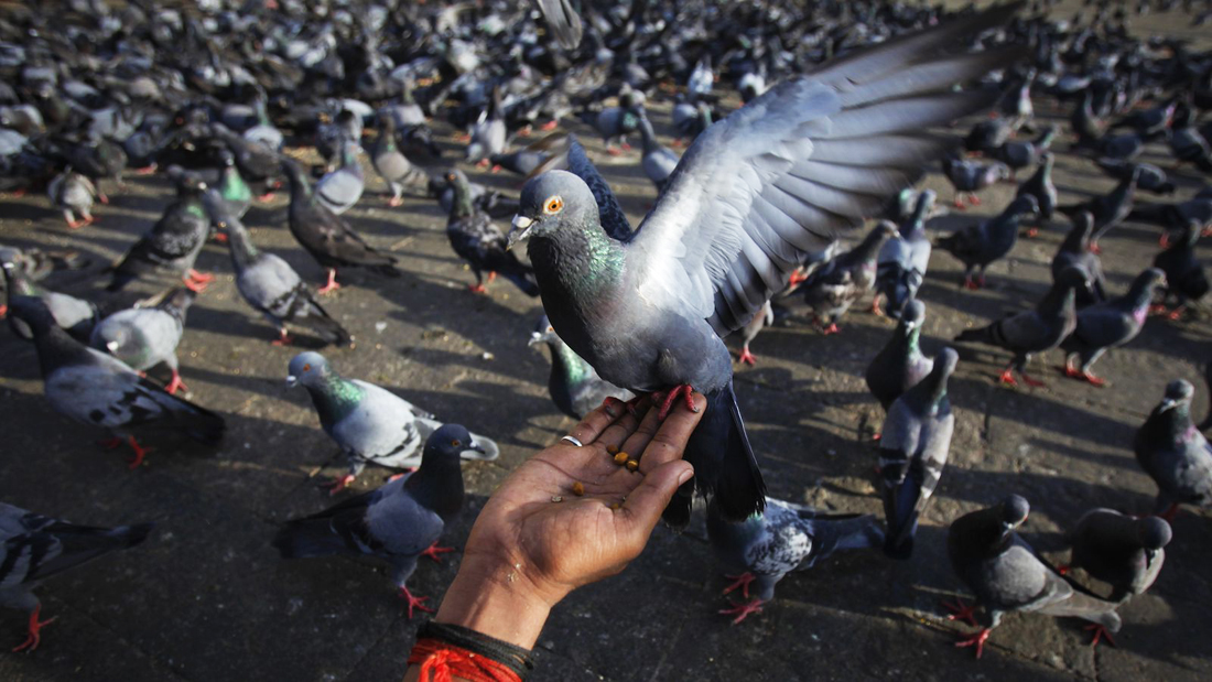 PHOTO: REUTERS