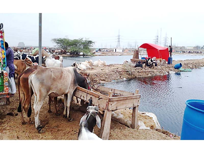 Though the authorities have managed to drain the rainwater out of 43 blocks, some rainwater still remains stagnant and the situation is likely to worsen again because the PMD has predicted heavy rainfall in the city beginning today. PHOTO: EXPRESS