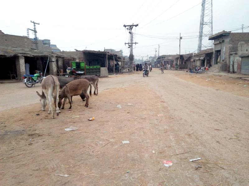 The streets of Rato Dero, in the heart of Bilawal Bhutto Zardari’s constituency in Larkana, are unpaved, with encroachments and livestock posing obstacles for vehicles. PHOTO: EXPRESS