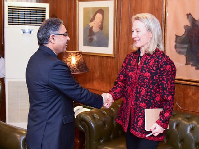 Alice Wells meets Foreign Secretary Sohail Mahmood at the Foreign Office in Islamabad on Tuesday. PHOTO: MOFA