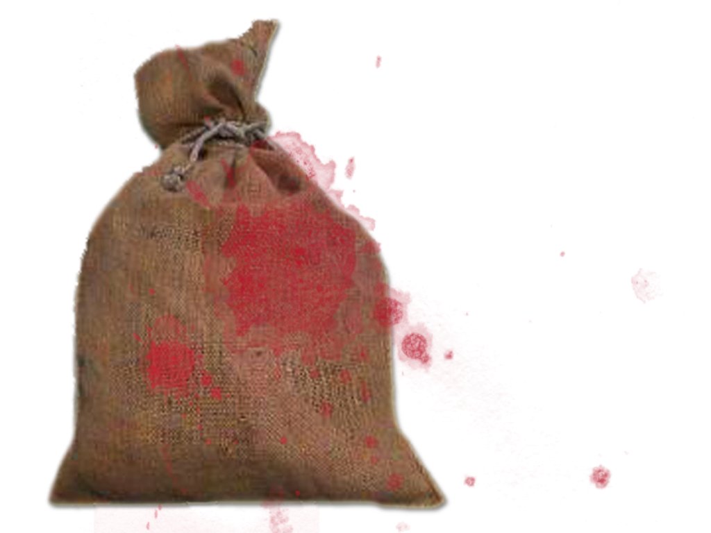 The PHC also ordered to constitute a high-level inquiry team to question those doctors who allegedly concealed facts surrounding bodies recovered in gunny bags. PHOTO: FILE