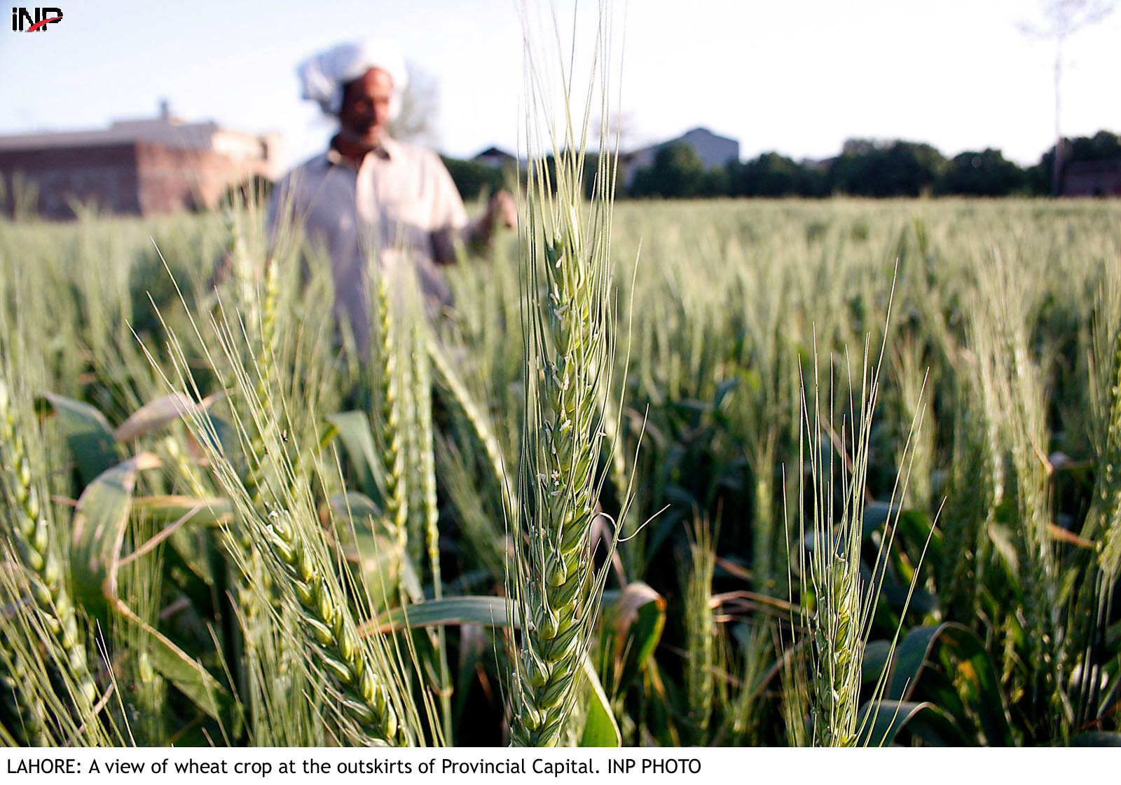 The representatives of the Kisaan Ittehad, Badin, urged upon the chief minister and the 'honest' officials of the irrigation department to take action against officials and influential landlords who are blocking water supply to the tail-end channels. PHOTO: INP