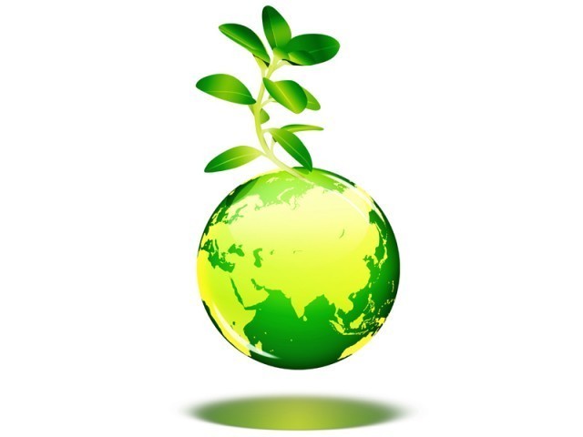 WWF-Pakistan urges govt to highlight its climate-related issues at Paris moot. STOCK IMAGE